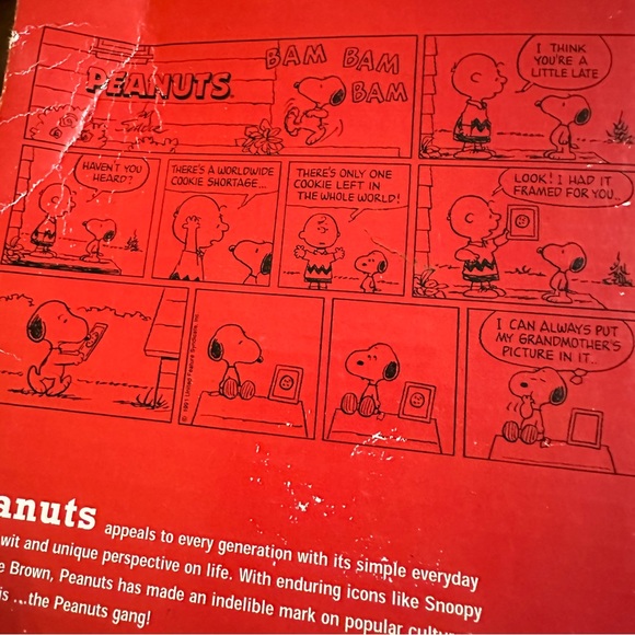 The Original Charlie Brown 24 Inch Christmas Tree 2010 Peanuts ProductWorks - Picture 11 of 15